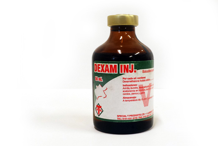 Dexam INJ - 50ml.