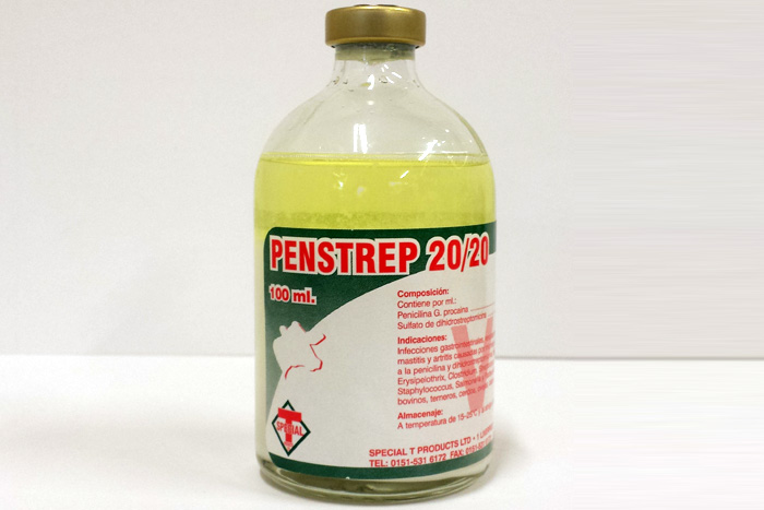 PENSTREP 20/20