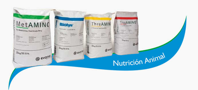 Categoría