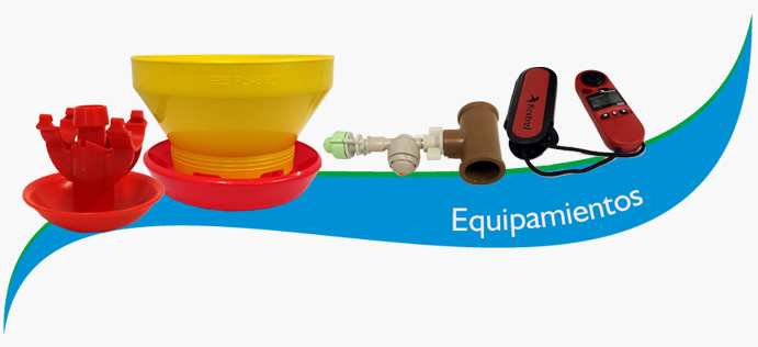 Categoría